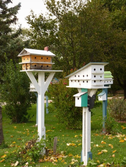 Birdhouse DIY Project